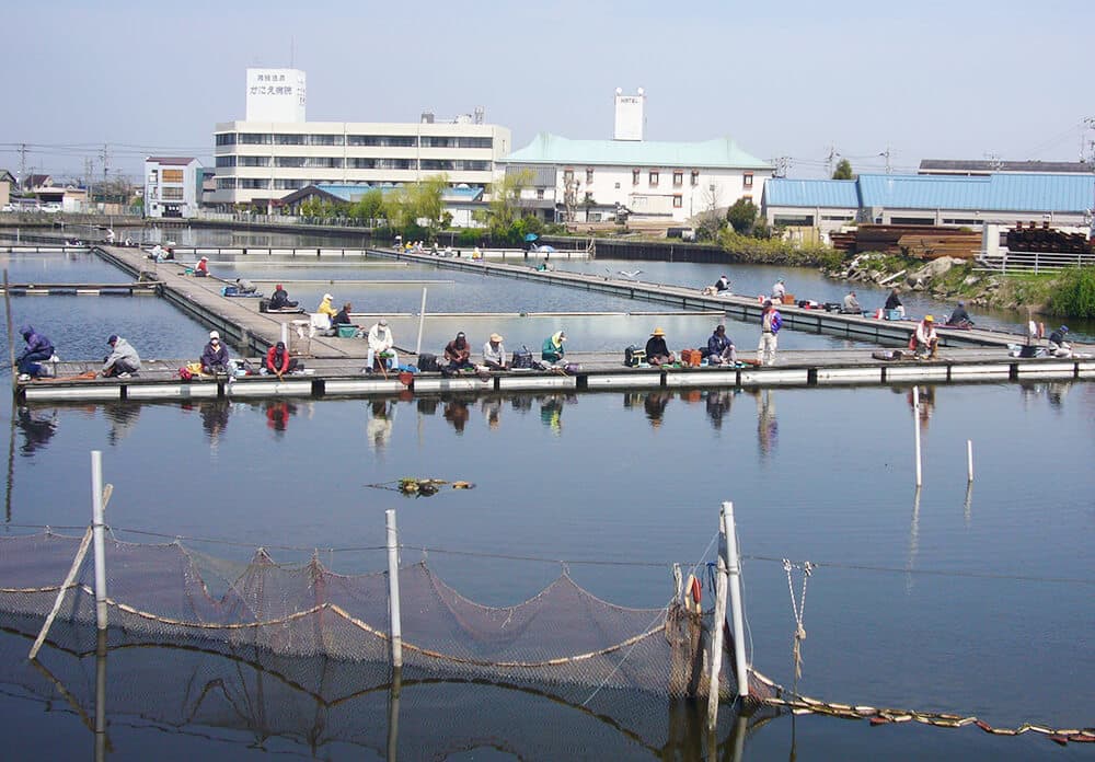 とみよしマルシェ会場のイメージ